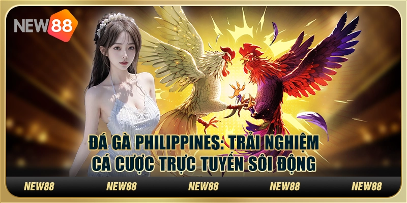 Đá gà Philippines - Trải nghiệm cá cược trực tuyến sôi động