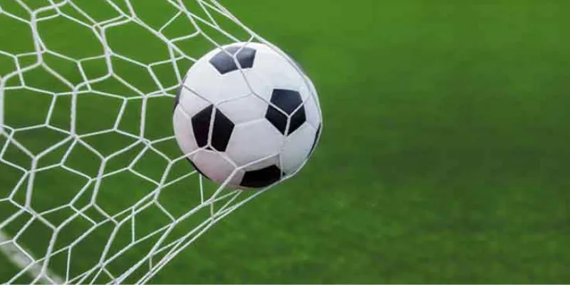 Cách xem kèo rung dễ hiểu và mang lại hiệu quả cao