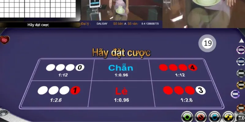 Thông thạo luật chơi Xóc đĩa con mực chi tiết