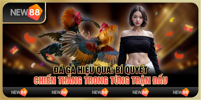 Đá gà hiệu quả: Bí quyết chiến thắng trong từng trận đấu