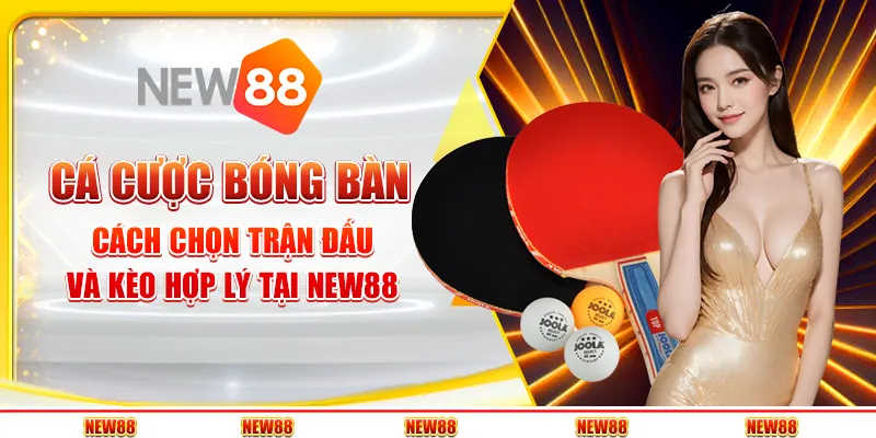 Cá cược bóng bàn : Cách chọn trận đấu và kèo hợp lý tại New88
