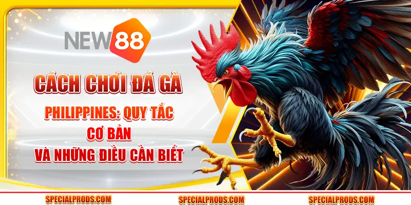 Cách chơi đá gà Philippines: Quy tắc cơ bản và những điều cần biết