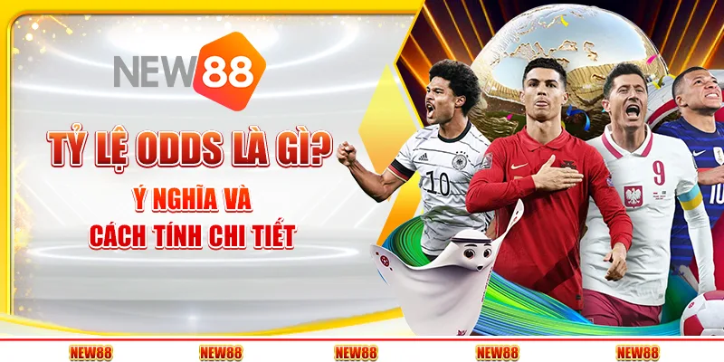 Tỷ lệ Odds là gì? Ý nghĩa và cách tính chi tiết