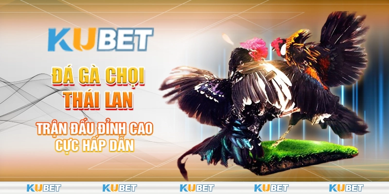 Đá gà chọi Thái Lan