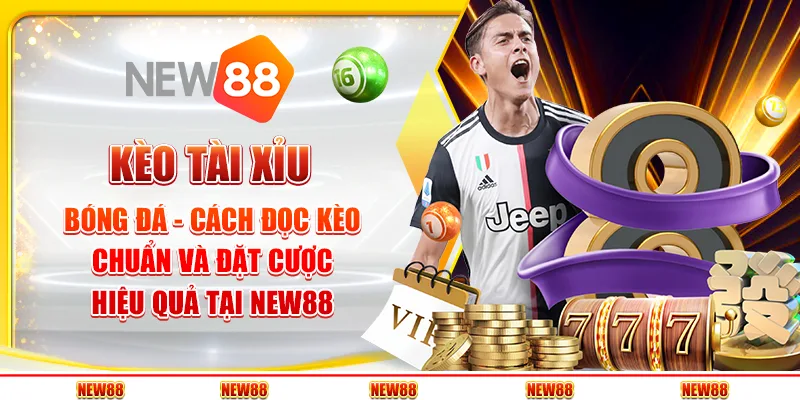 Kèo tài xỉu bóng đá - Cách đọc kèo chuẩn và đặt cược hiệu quả tại New88