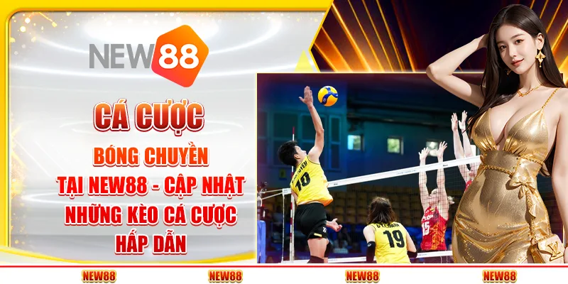 Cá cược bóng chuyền tại New88 - Cập nhật những kèo cá cược hấp dẫn