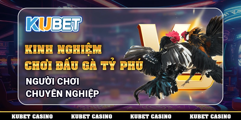 Kinh Nghiệm Chơi Đấu Gà Tỷ Phú Người Chơi Chuyên Nghiệp