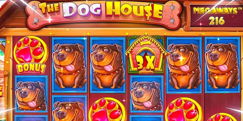 Các tính năng đặc biệt trong The Dog House