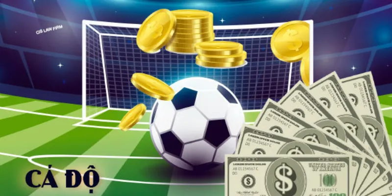 Cách cá độ bóng đá tài xỉu hiệu quả để giành chiến thắng lớn