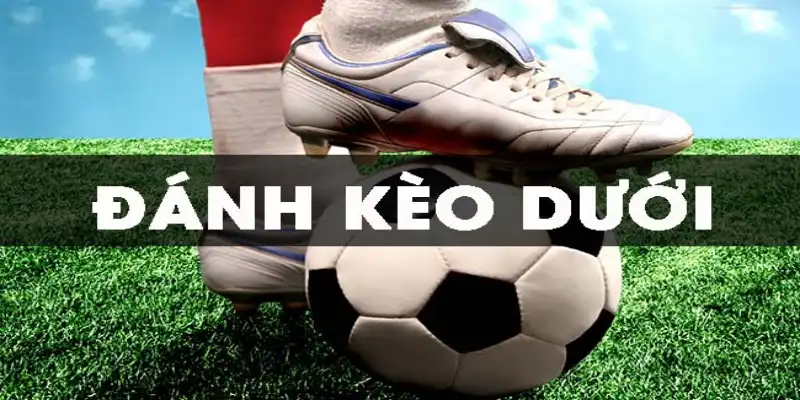 Kèo dưới là gì và đôi điều dân Kubet phải nắm vững
