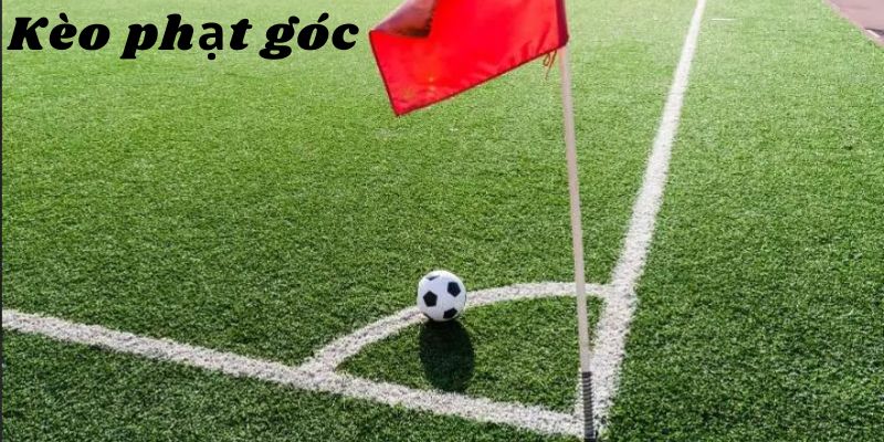 Những điều gây cản trở con đường chiến thắng