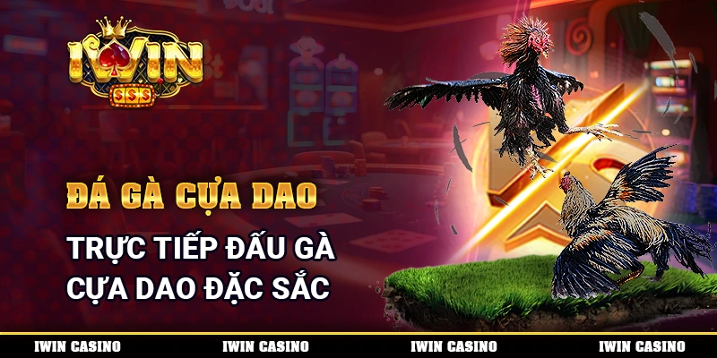 Đá Gà Cựa Dao Trực Tiếp Đấu Gà Cựa Dao Đặc Sắc Cùng Nhà Cái