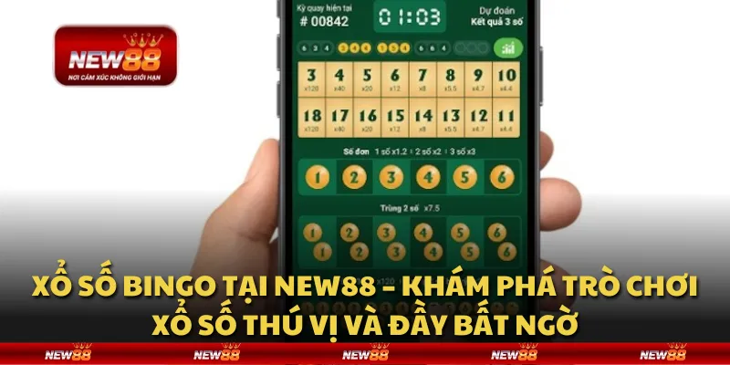 Xổ số Bingo tại New88 – Khám phá trò chơi xổ số thú vị và đầy bất ngờ