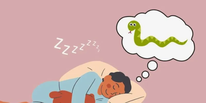 Điềm báo của giấc ngủ nằm mơ thấy rắn theo từng phương