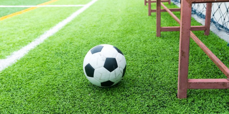 Nhiều loại cược đa dạng