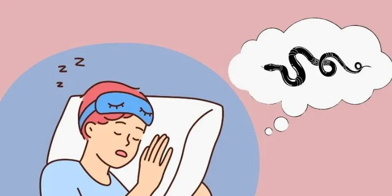 Ý nghĩa sâu sắc của giấc mơ mà bạn cần biết