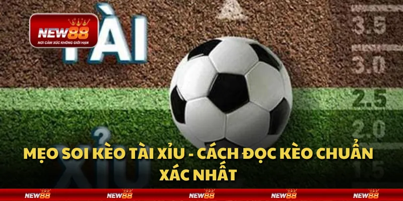 Mẹo soi kèo tài xỉu - Cách đọc kèo chuẩn xác nhất