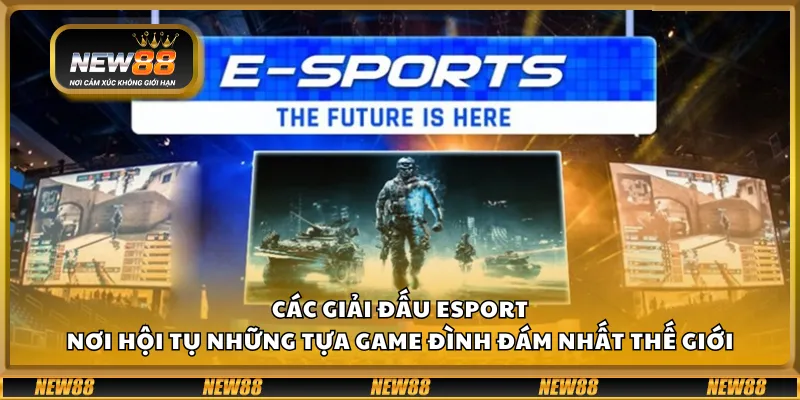 Các giải đấu Esport - Nơi hội tụ những tựa game đình đám nhất thế giới