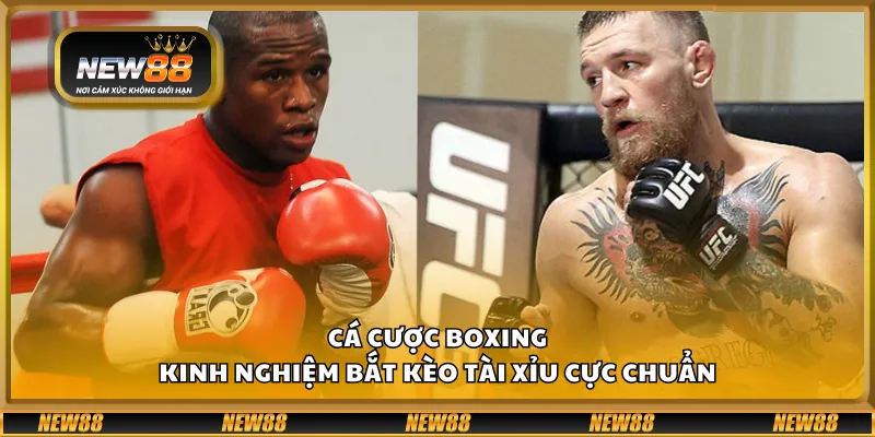 Cá cược boxing – Kinh nghiệm bắt kèo tài xỉu cực chuẩn