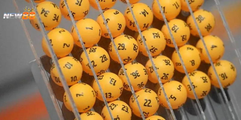 Phương pháp soi cầu quả trám dễ áp dụng nhất