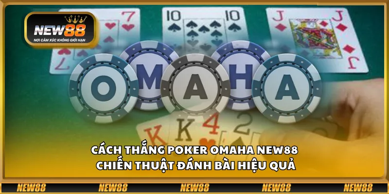 Cách thắng poker Omaha New88 - Chiến thuật đánh bài hiệu quả